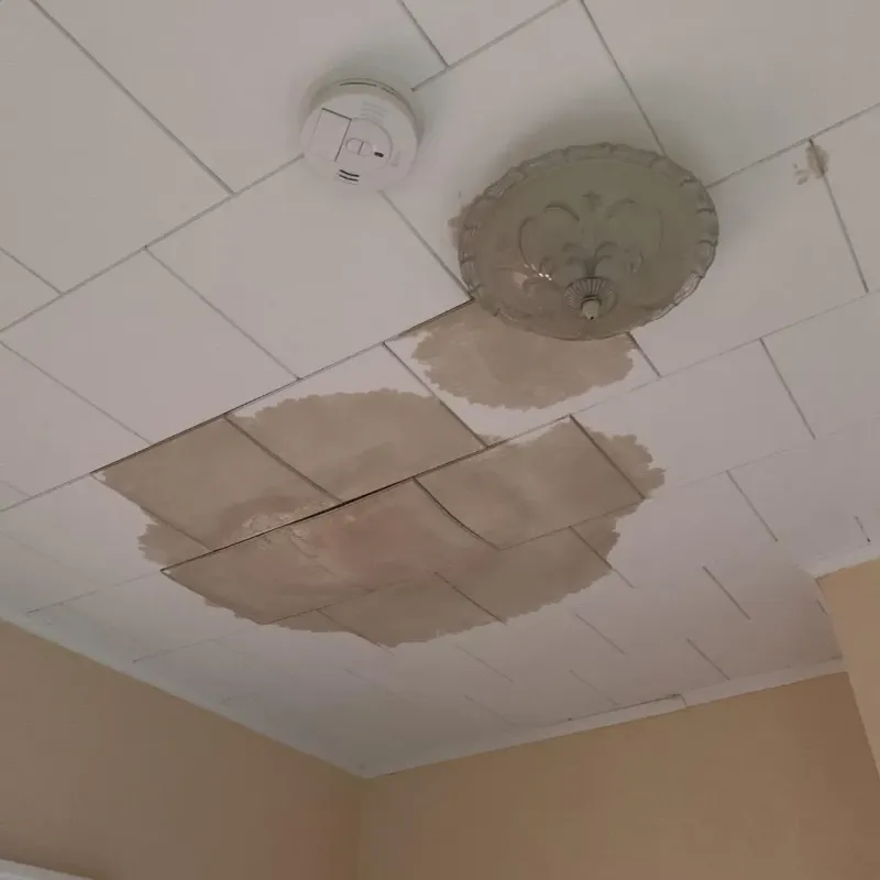 Ceiling Water Damage Repair in Drew, MS