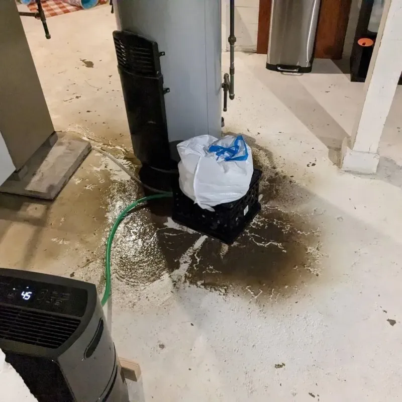 Sewage Backup Cleanup Service in Drew, MS